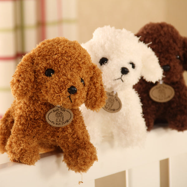 Peluche Chien Teddy - Jouet en Peluche Doux